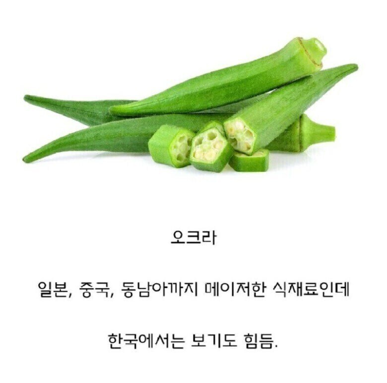 중국 일본 동남아에선 잘먹는데 한국만 잘 안먹는 채소_1.jpg