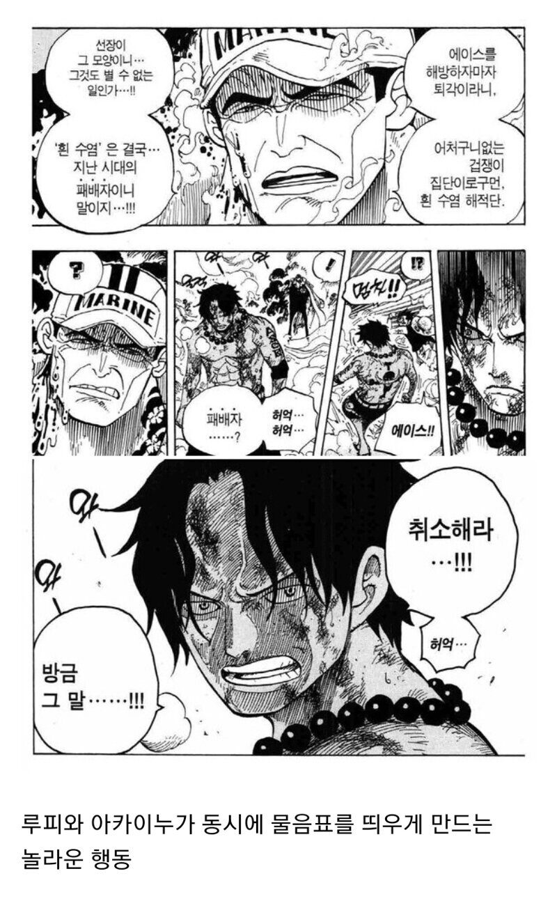 원피스 세계관 최고의 견문색_1.jpg