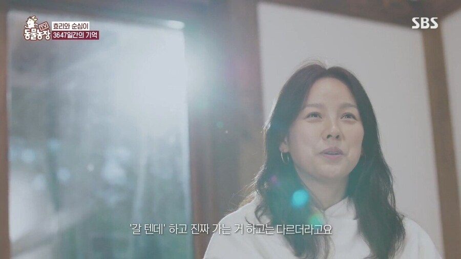 반려견이 곧 떠난다는 걸 직감하는 순간_3.jpg