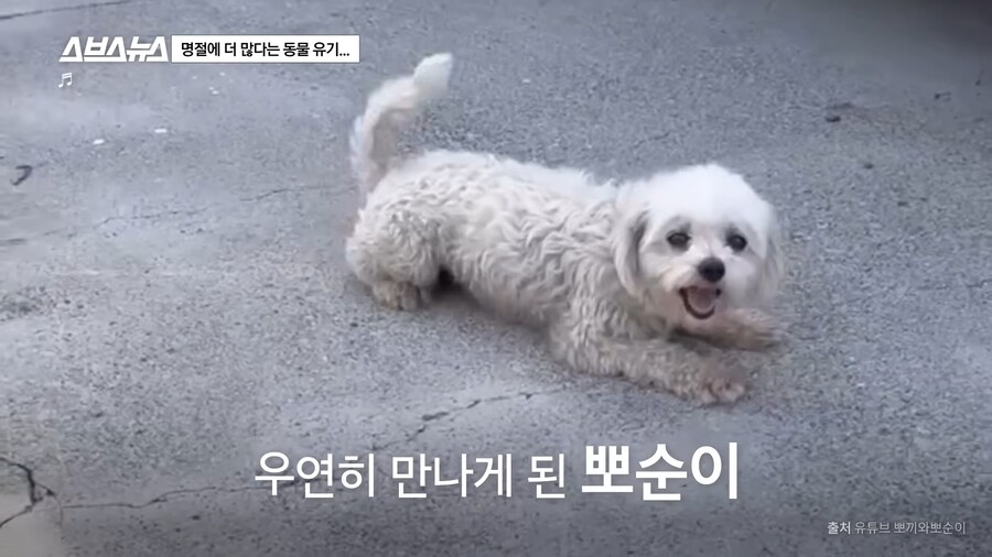 의외로 매년 명절 연휴마다 무너진다는 인류애_3.png