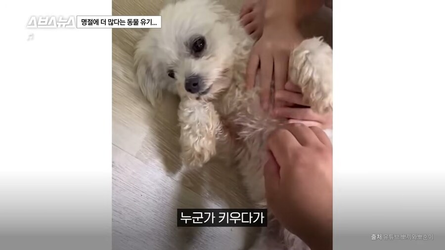 의외로 매년 명절 연휴마다 무너진다는 인류애_19.png