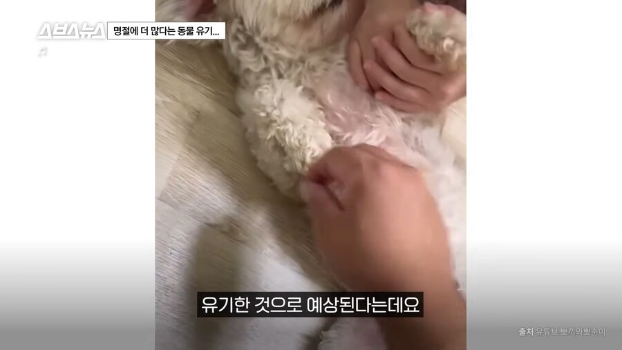 의외로 매년 명절 연휴마다 무너진다는 인류애_20.png