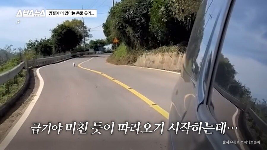 의외로 매년 명절 연휴마다 무너진다는 인류애_9.png