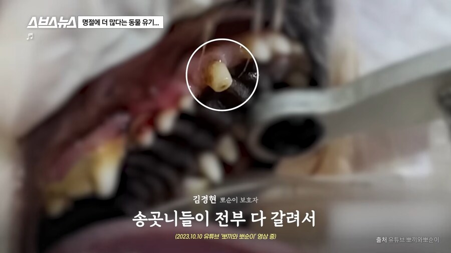 의외로 매년 명절 연휴마다 무너진다는 인류애_21.png