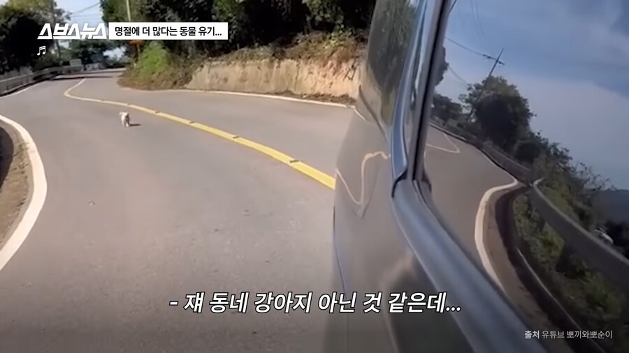 의외로 매년 명절 연휴마다 무너진다는 인류애_10.png