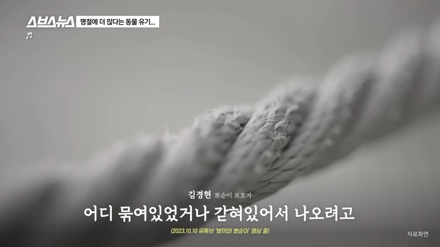 의외로 매년 명절 연휴마다 무너진다는 인류애_22.png