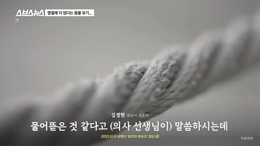 의외로 매년 명절 연휴마다 무너진다는 인류애_23.png