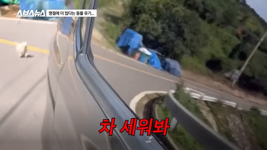 의외로 매년 명절 연휴마다 무너진다는 인류애_12.png