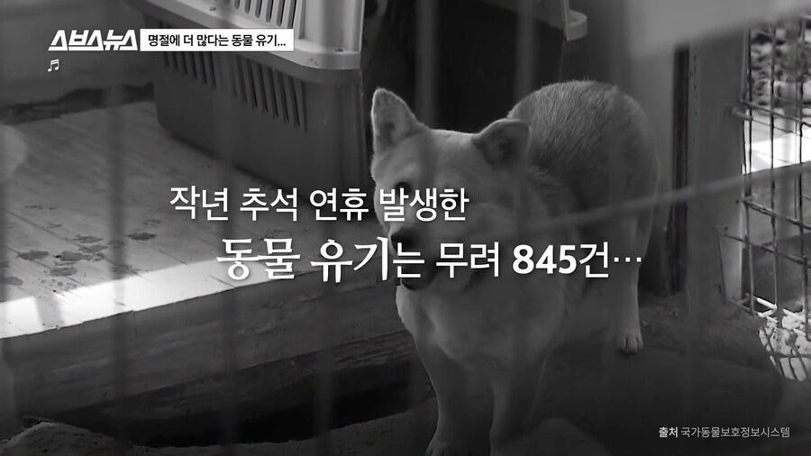의외로 매년 명절 연휴마다 무너진다는 인류애_29.png