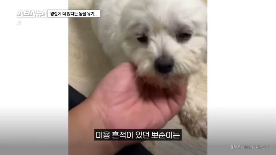 의외로 매년 명절 연휴마다 무너진다는 인류애_18.png