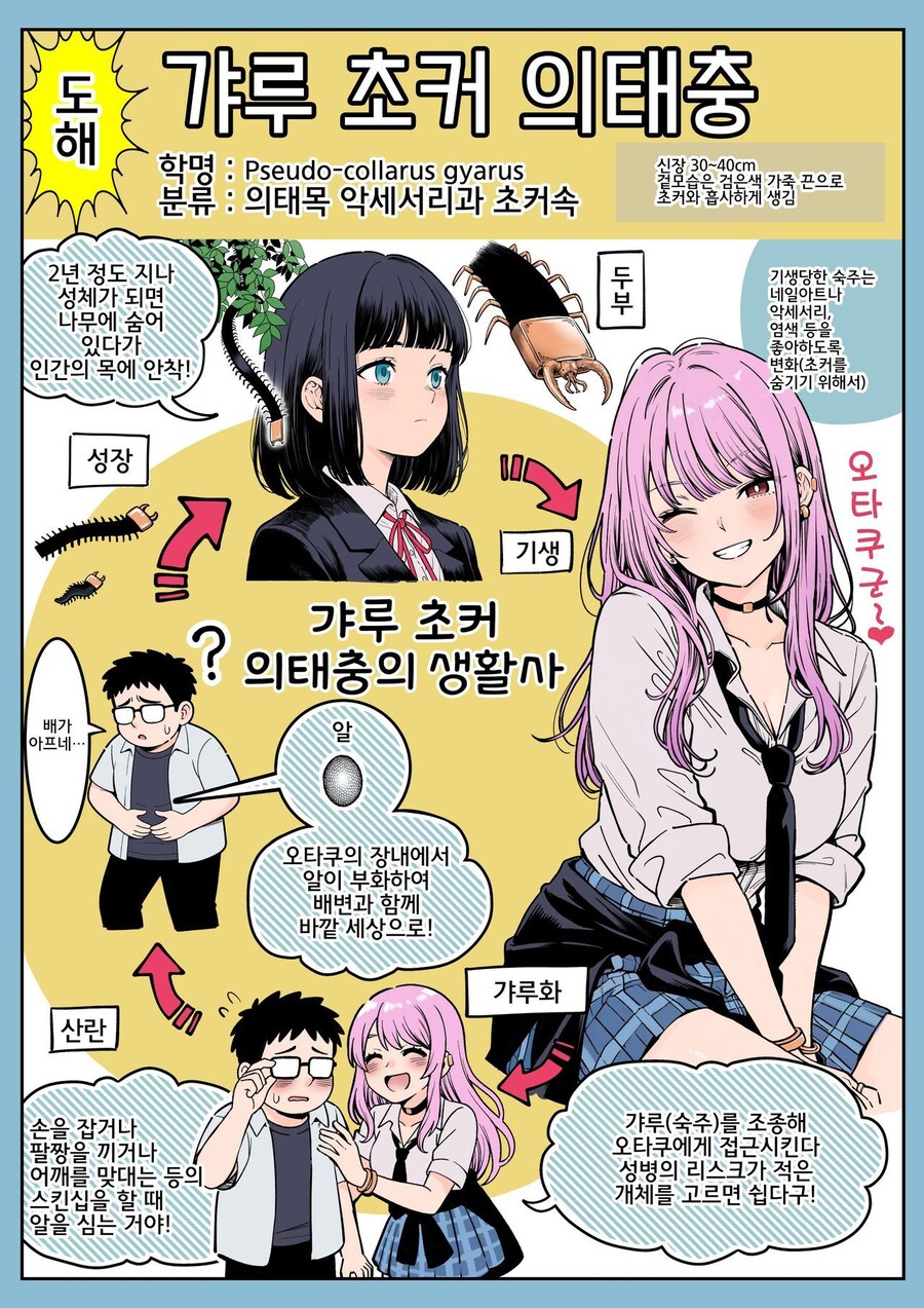 오타쿠에게 친절한 갸루가 만들어지는 과정.jpg_1.jpg