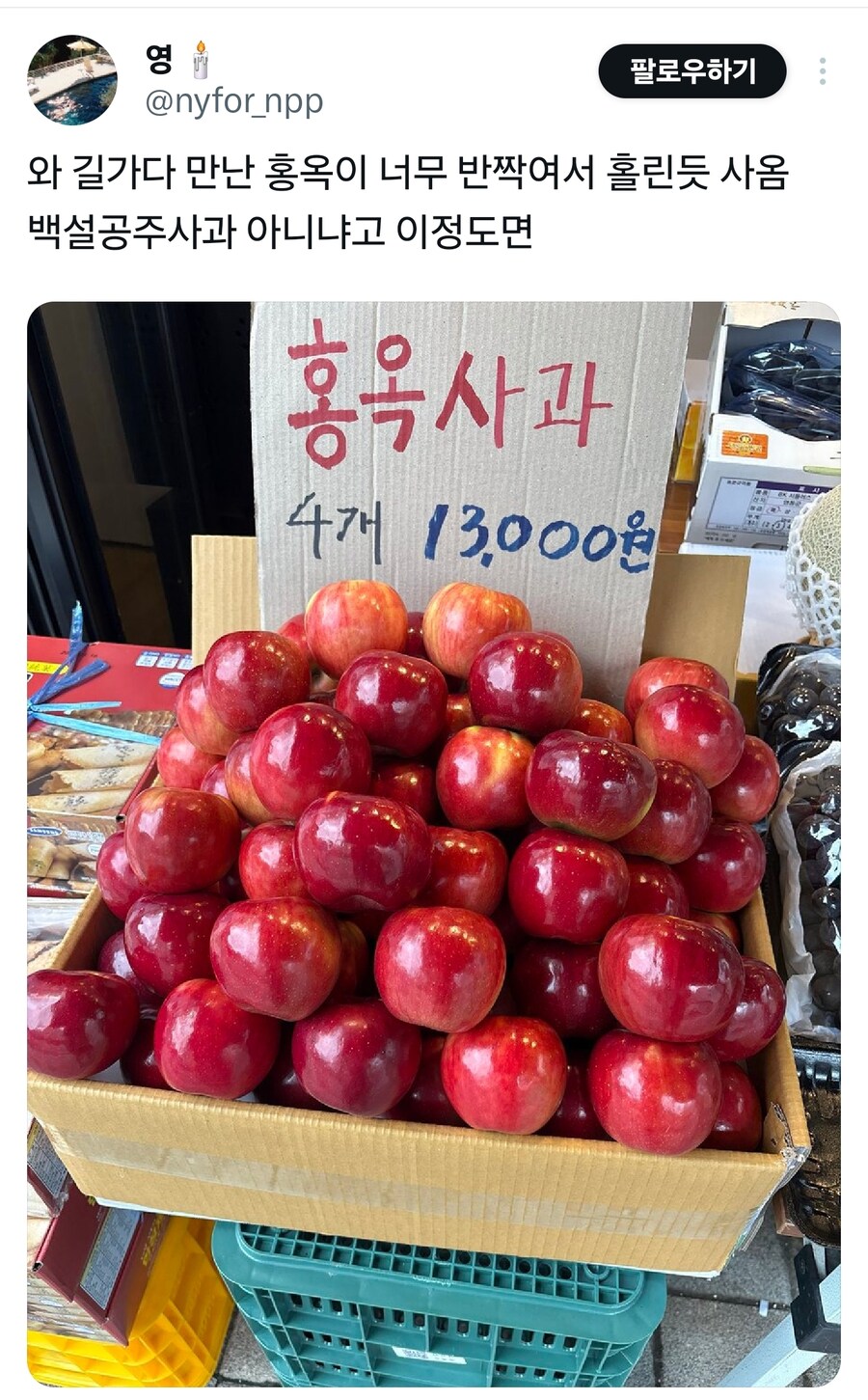 백설공주가 독사과를 먹은.eu_1.jpg