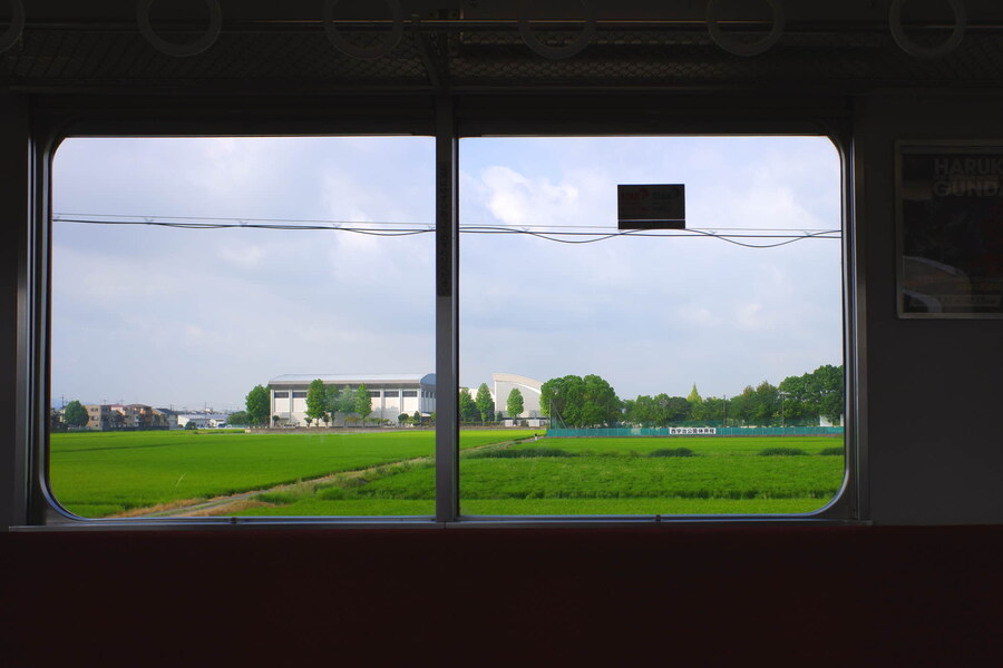 교토 너머, 근교 여행 2부 - 나라 (초스압)_3.jpg