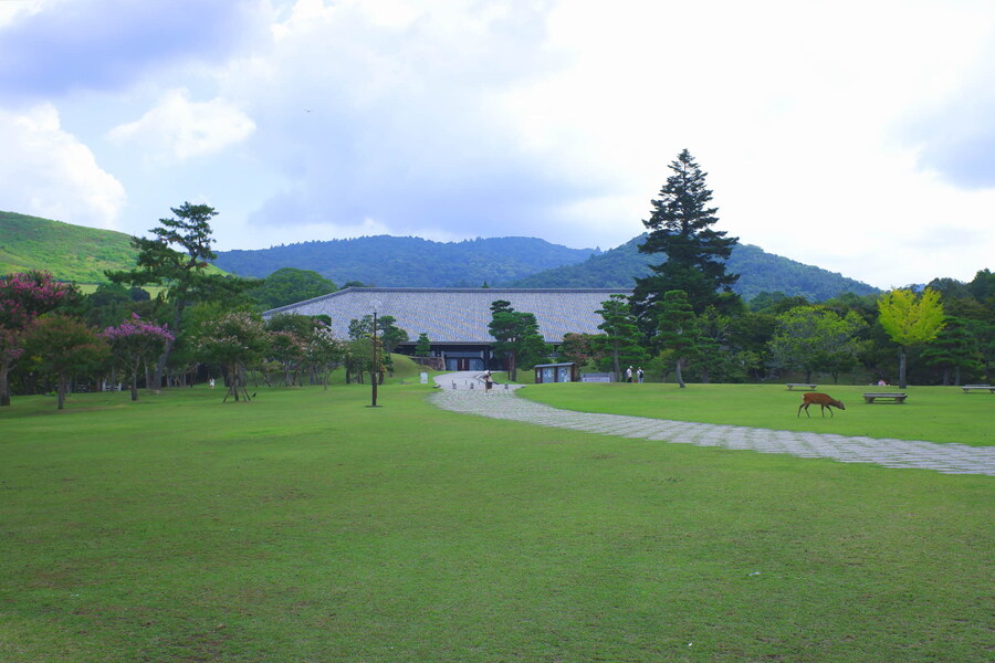 교토 너머, 근교 여행 2부 - 나라 (초스압)_17.jpg