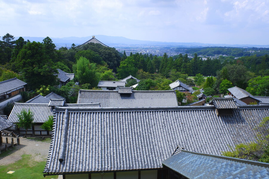 교토 너머, 근교 여행 2부 - 나라 (초스압)_47.jpg