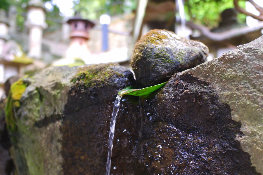 교토 너머, 근교 여행 2부 - 나라 (초스압)_49.jpg