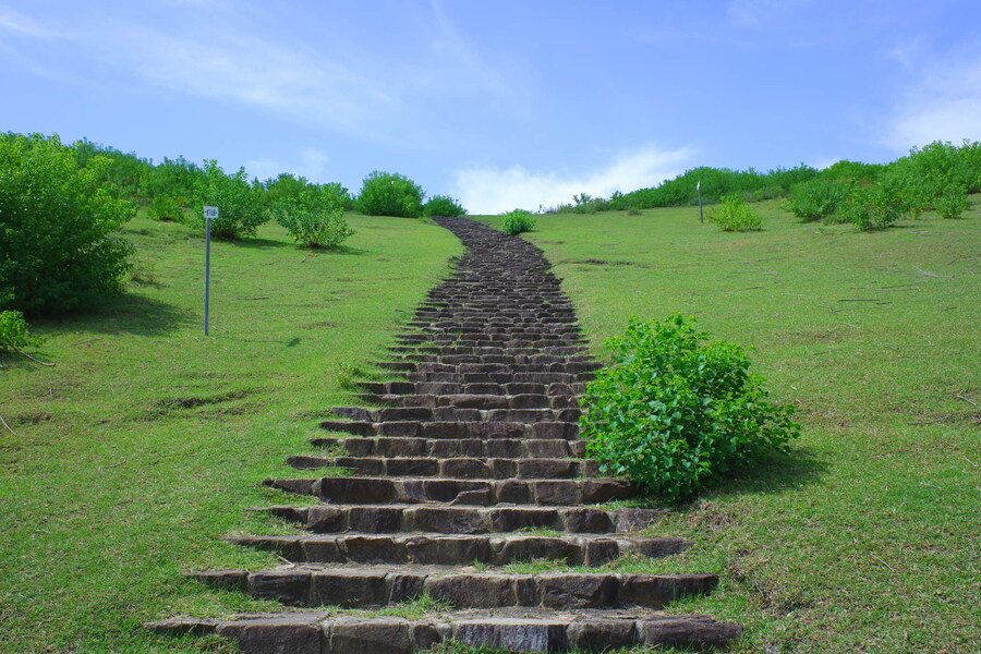 교토 너머, 근교 여행 2부 - 나라 (초스압)_62.jpg