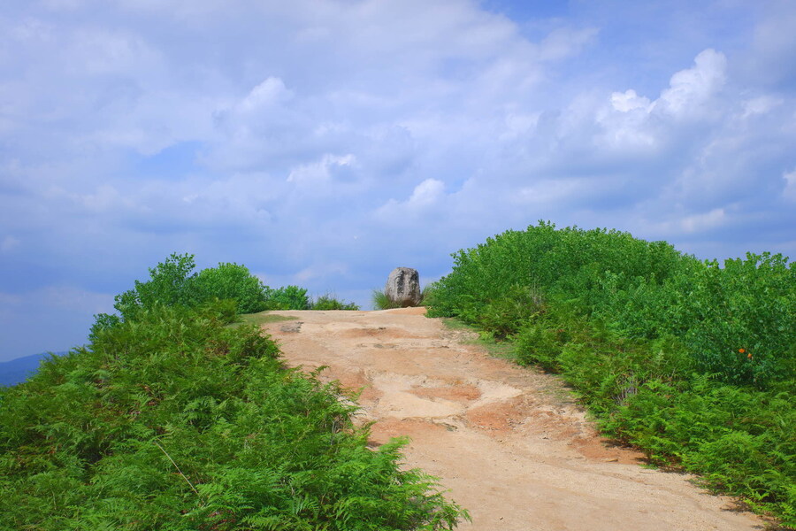 교토 너머, 근교 여행 2부 - 나라 (초스압)_78.jpg