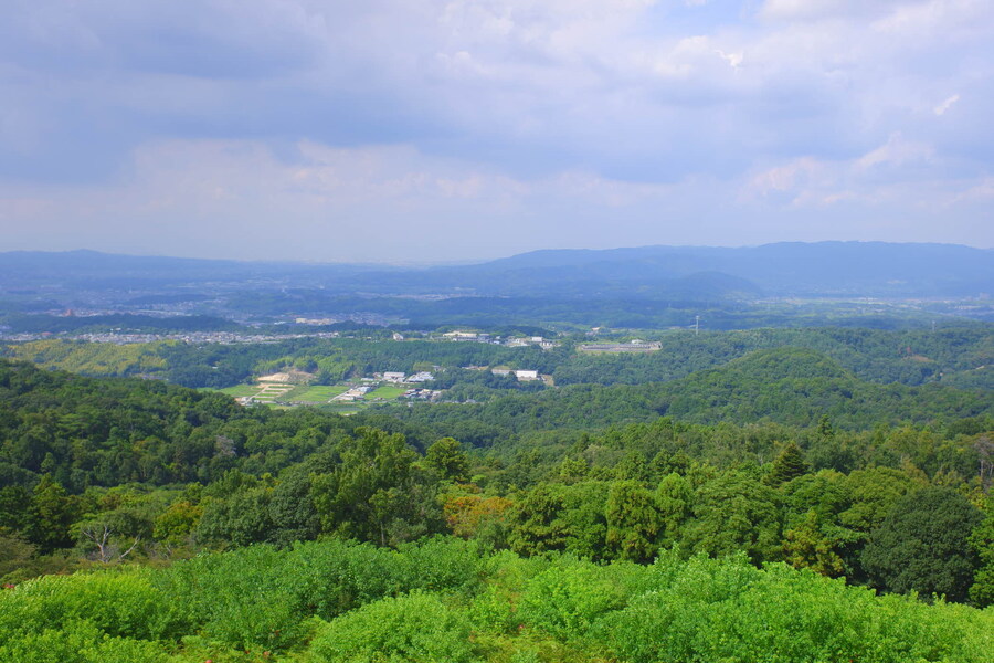 교토 너머, 근교 여행 2부 - 나라 (초스압)_80.jpg