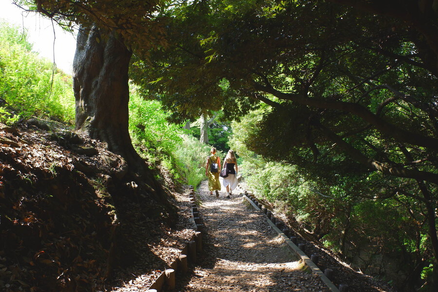 교토 너머, 근교 여행 2부 - 나라 (초스압)_85.jpg