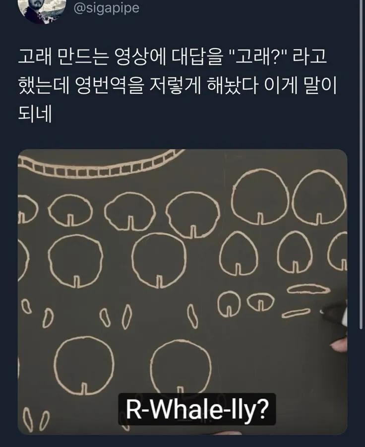 고래 초월번역_1.jpg