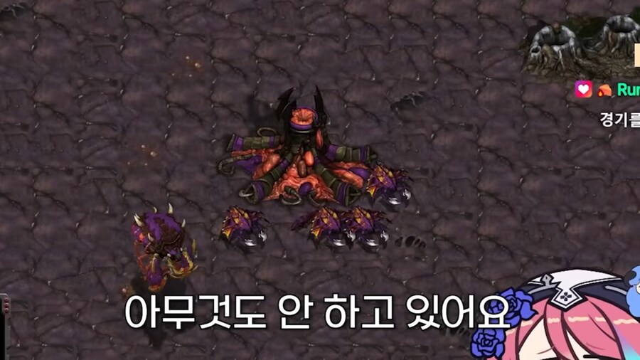 버튜버) 로제타 x 하우카우 x 라디유 스타 대전 근황_6.jpg