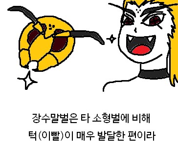 장수말벌 독침만 무서운게 아님_1.png