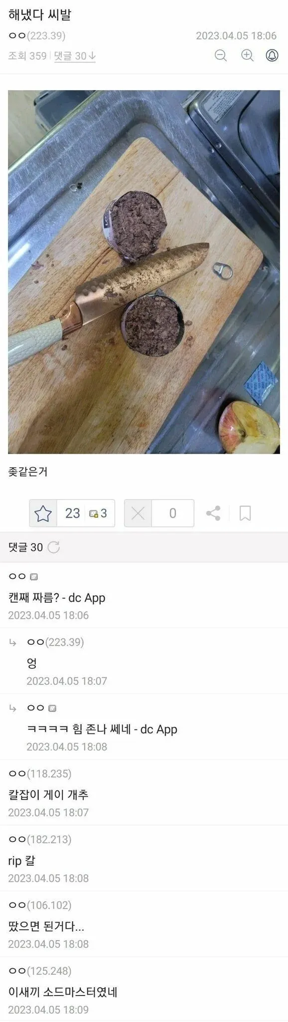 자기 고양이에게 밥 주려고 캔 자른 사람.jpg_4.webp