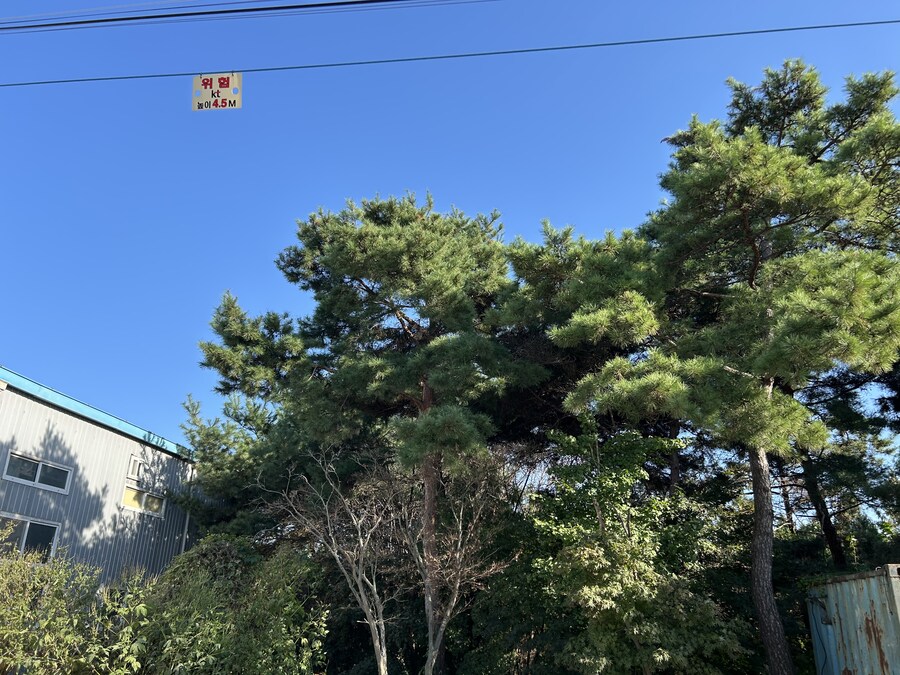 수도권에서 만나는 한국의 우마무스메 안식처_18.jpg