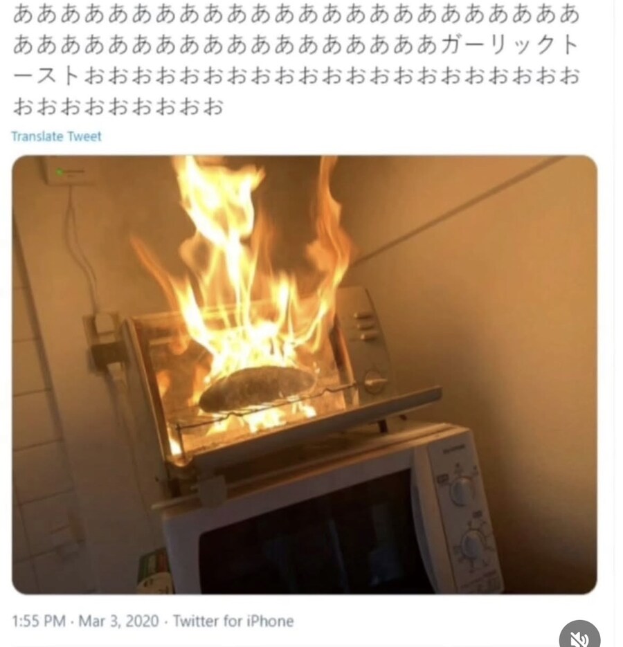 아아아아아아아아아아아아아_1.jpg