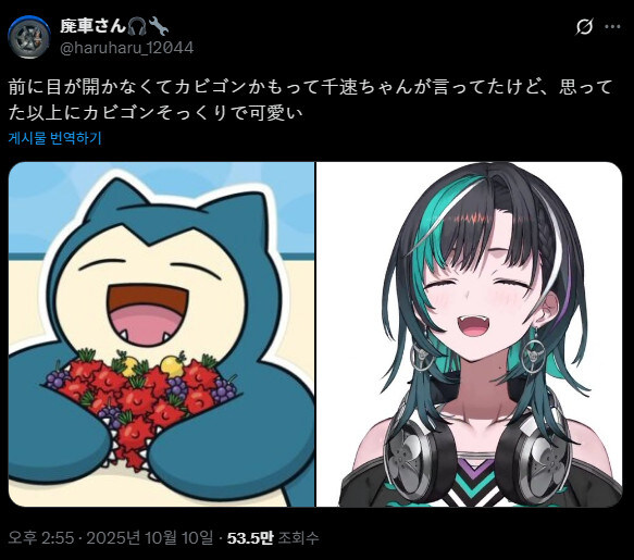버튜버) 의외로 치하야와 닮은꼴인 포켓몬_1.jpg