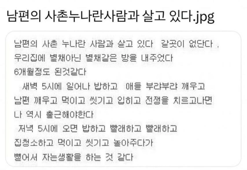 남편의 사촌누나란 사람과 살고 있다._1.webp