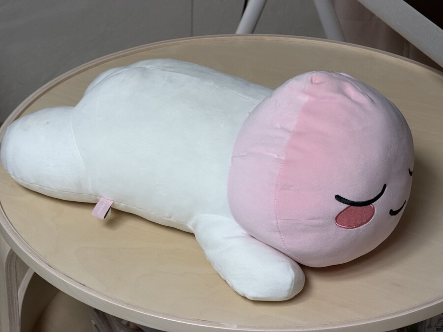 집에서 도로롱 몸통 발견했음_3.jpg