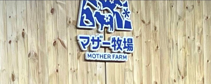 어제 저녁에 치킨 먹고 남은 거 실온보관했는데_1.png
