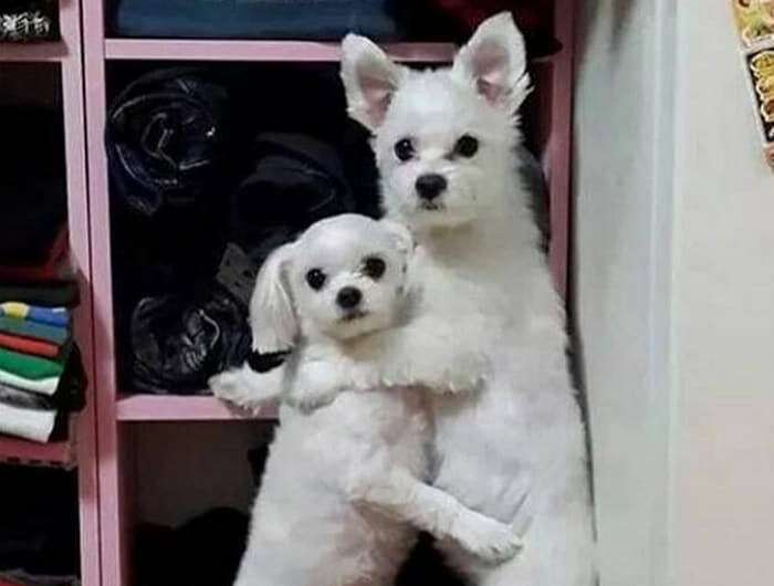 사펑)모텔 방문 강제개방_6.jpg