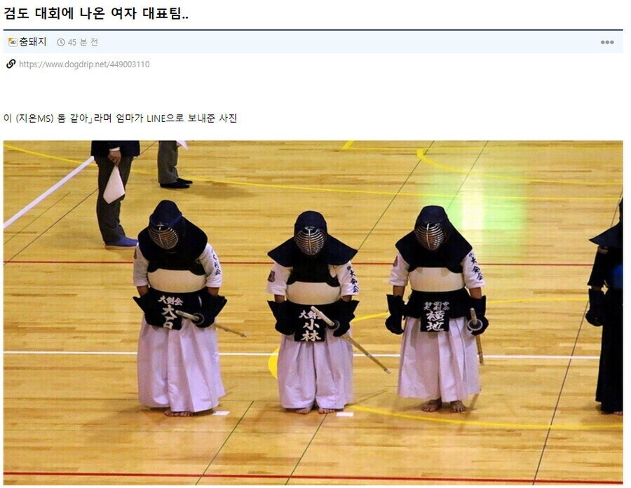 검도 대회에 나온 돔_1.jpg