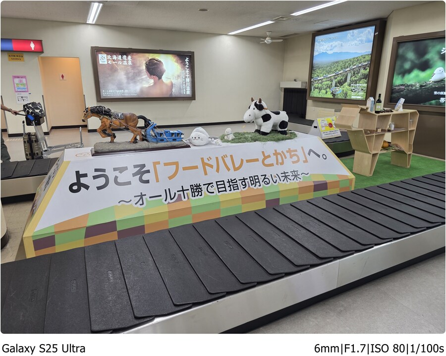 [스압] 오비히로 여행기[10.1~10.5]1일차 - 8년의 기다림과 덮밥 한그릇_19.jpg