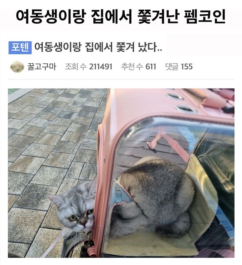 여동생이랑 집에서 쫒겨난 여동생_1.jpg