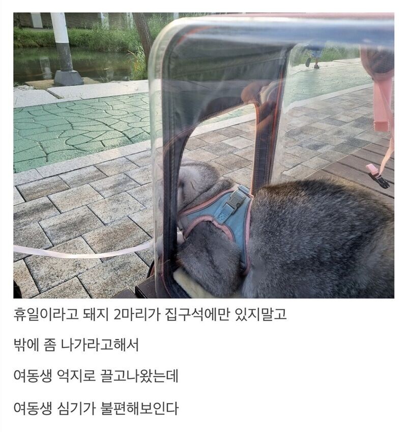 여동생이랑 집에서 쫒겨난 여동생_2.jpg