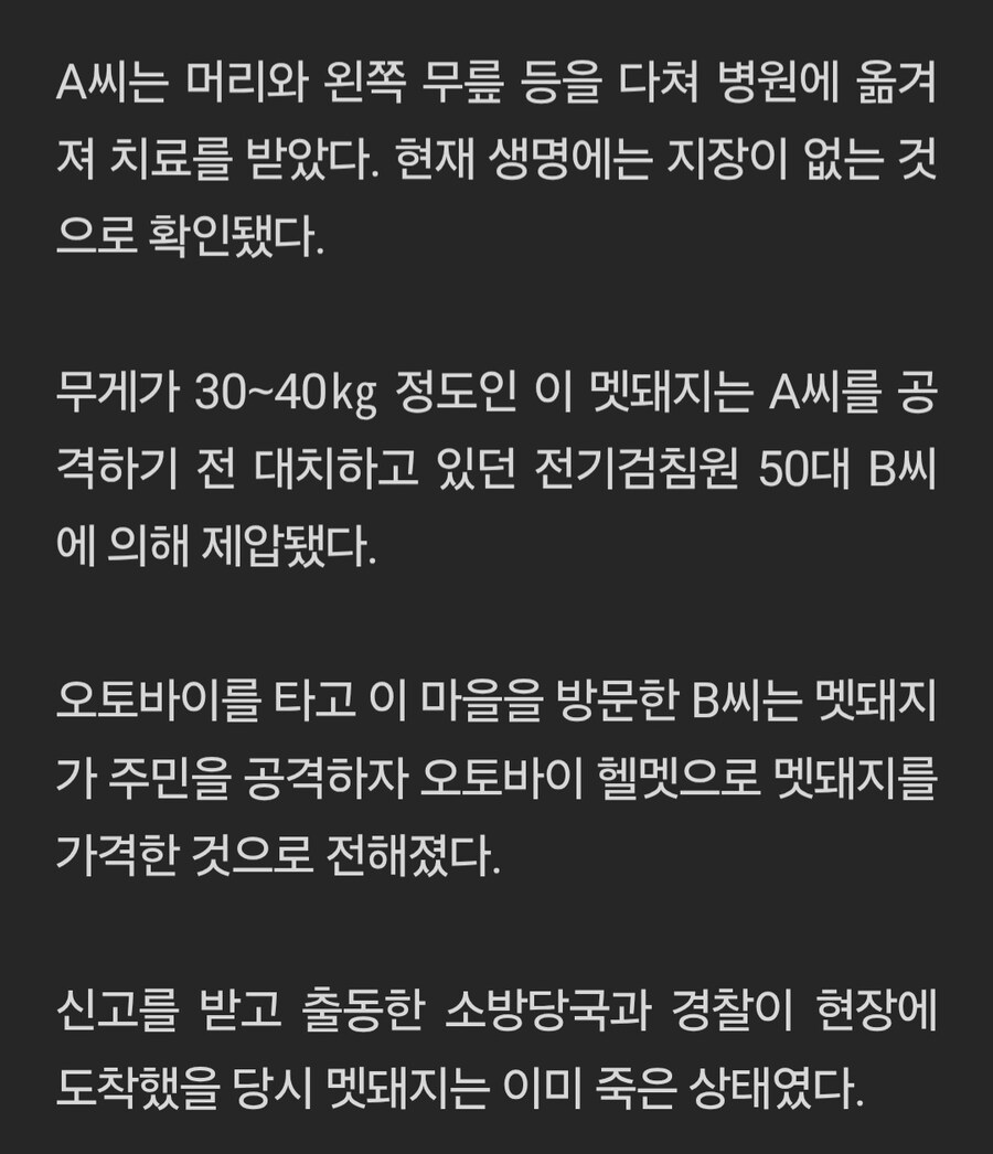 맷돼지를 만난 50대 전기 검침원_2.jpg