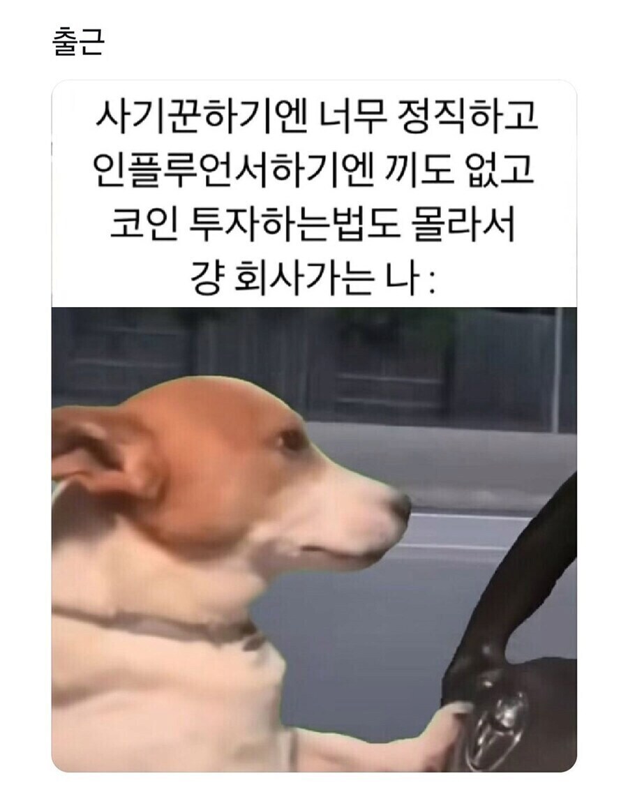 보름 가까이 놀아서 그런지.._1.jpg