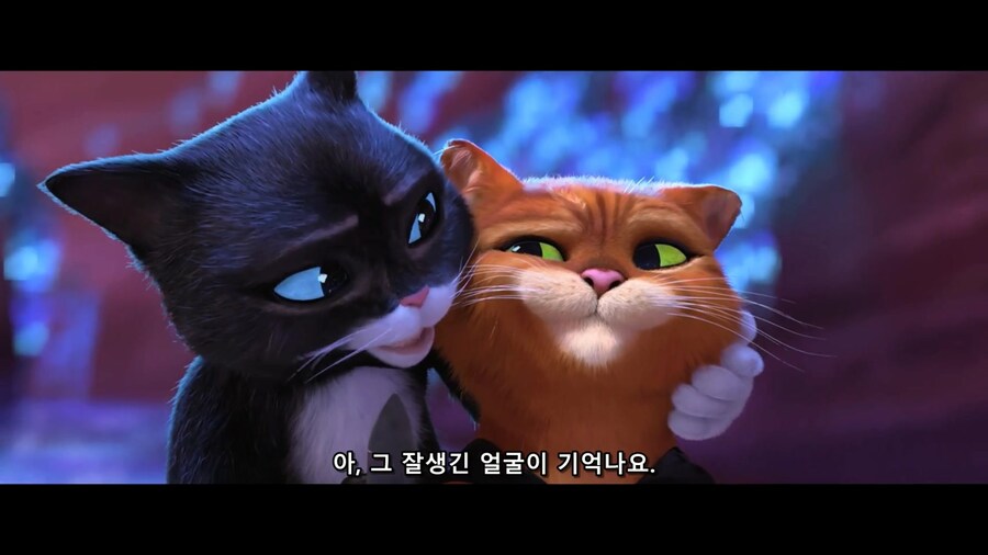 잘생긴 고양이의 모습_1.jpg