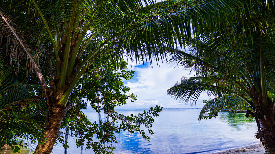 [스압]추석 연휴_말라파스쿠아 섬(With Paradive)_1_19.jpg