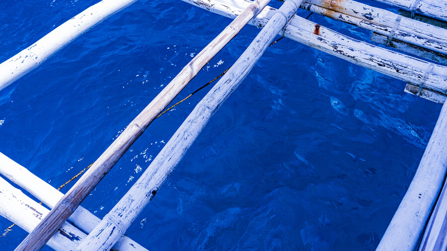 [스압]추석 연휴_말라파스쿠아 섬(With Paradive)_1_37.jpg