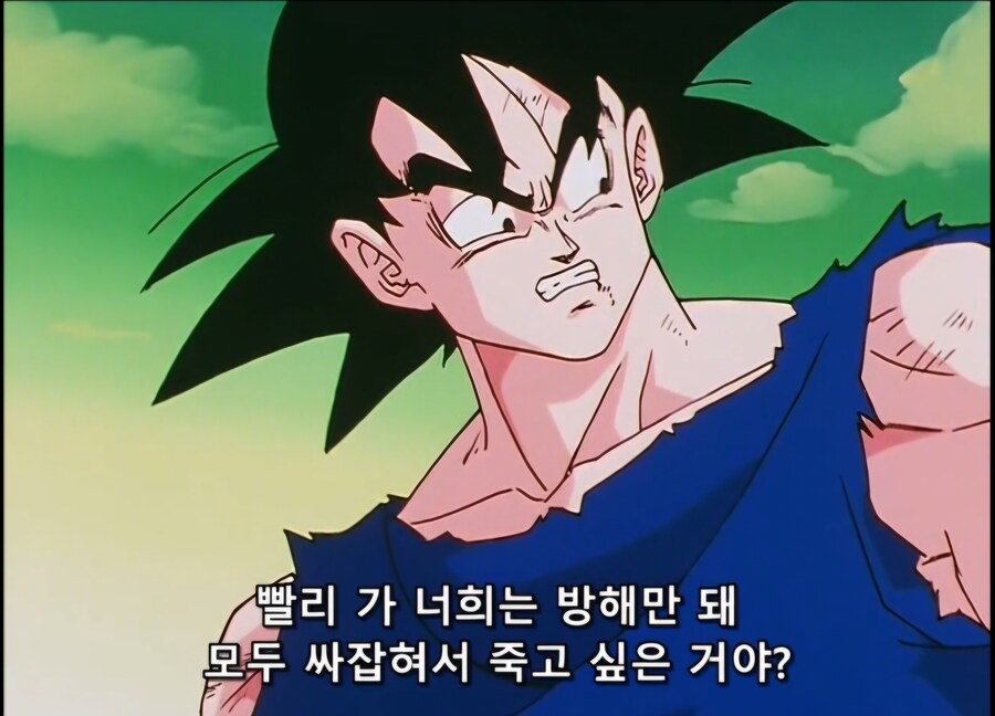드래곤볼)오공:니네 ㅈ밥이잖아._4.jpg