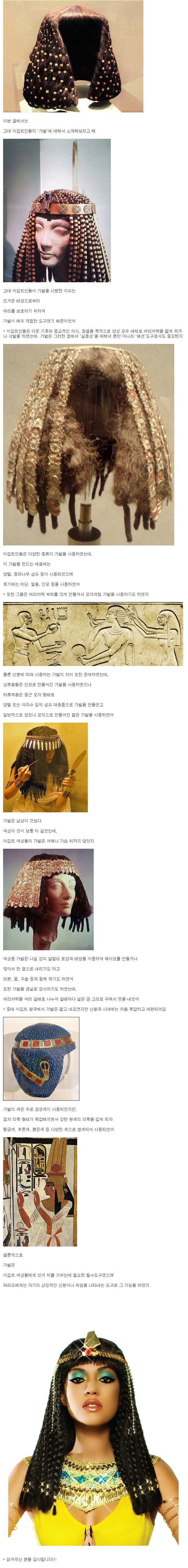 역사) 고대 이집트인들의 가발_1.jpg
