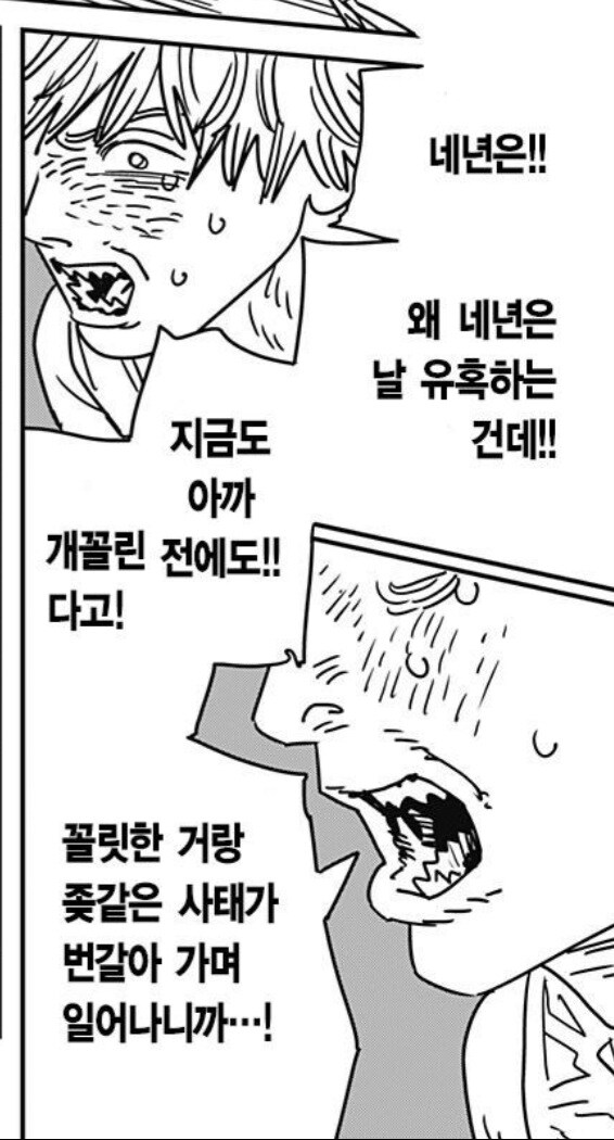 체인소맨 2부 스포) 2부 각 세력 작전 죠진 이유?_3.jpg