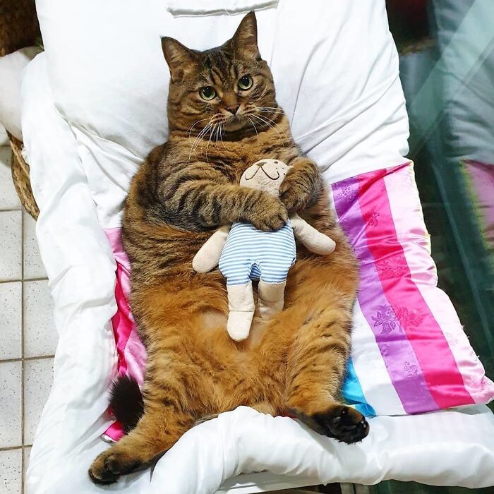 인터넷 커뮤를 확 줄여 볼까_1.png