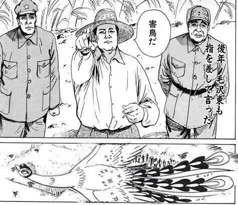 일본판 해로운 새다_1.png