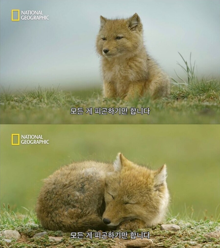 오늘 등교/출근 하는 사람들 모습_1.jpg